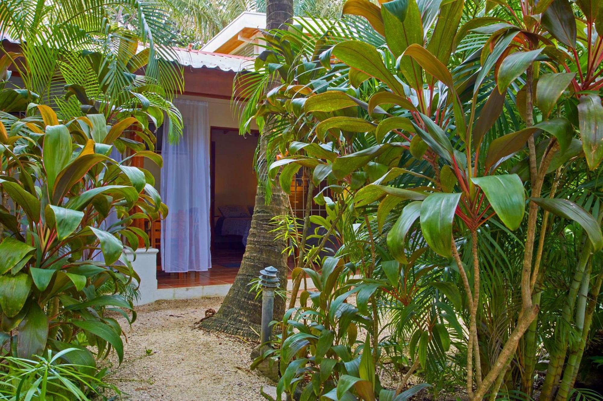 Living Hotel Nosara Ruang foto