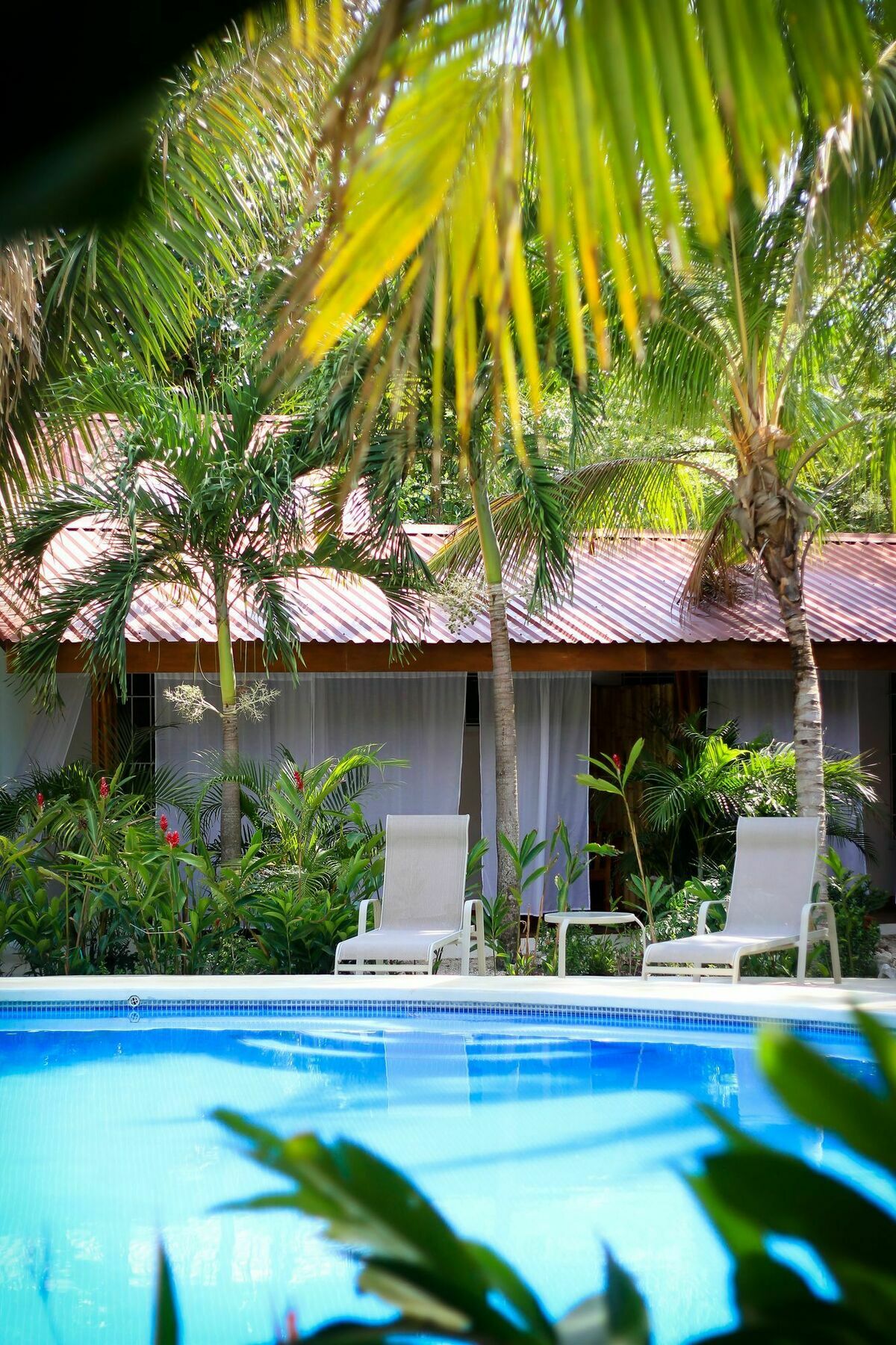 Living Hotel Nosara Bagian luar foto